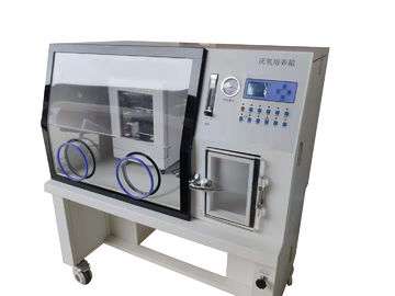 Phòng thí nghiệm chân không Vườn ươm kỵ khí / Phòng nuôi cấy vi khuẩn kỵ khí